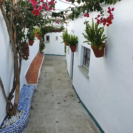 Apartamento La Chanca Conil De La Frontera Εξωτερικό φωτογραφία